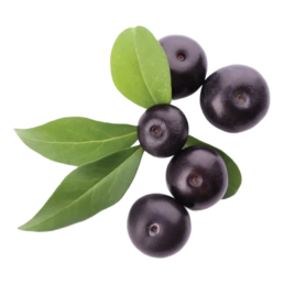 a&ccedil;a&iacute; fresquitos