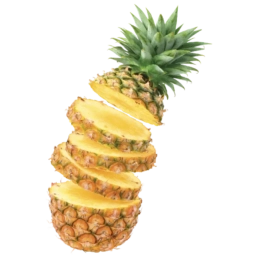 pi&ntilde;a fresquitos