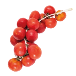 tomates fresquitos